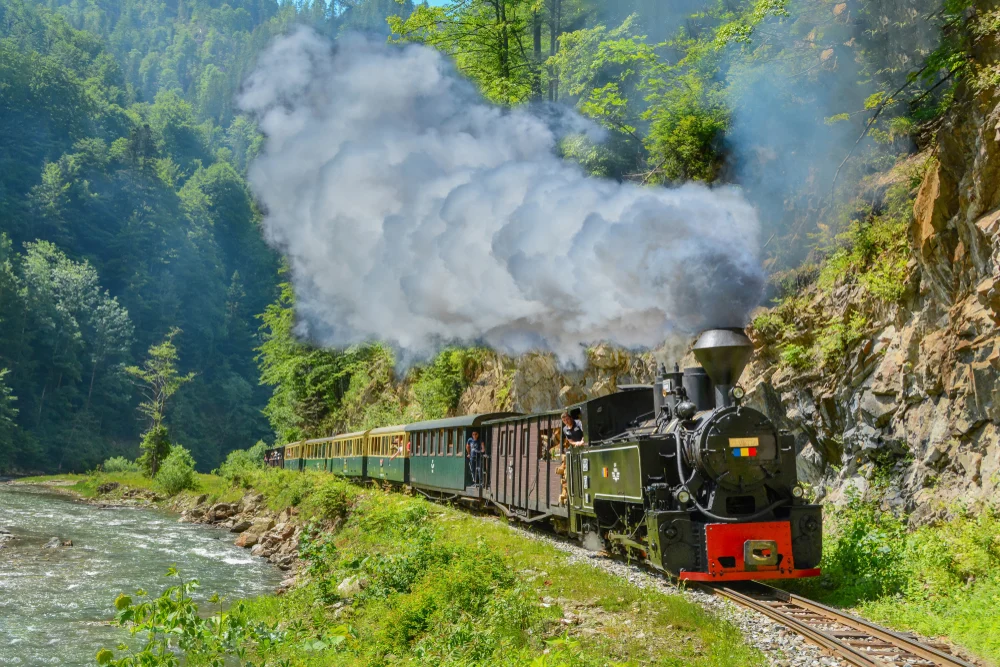 Mocănița pe Valea Vaserului